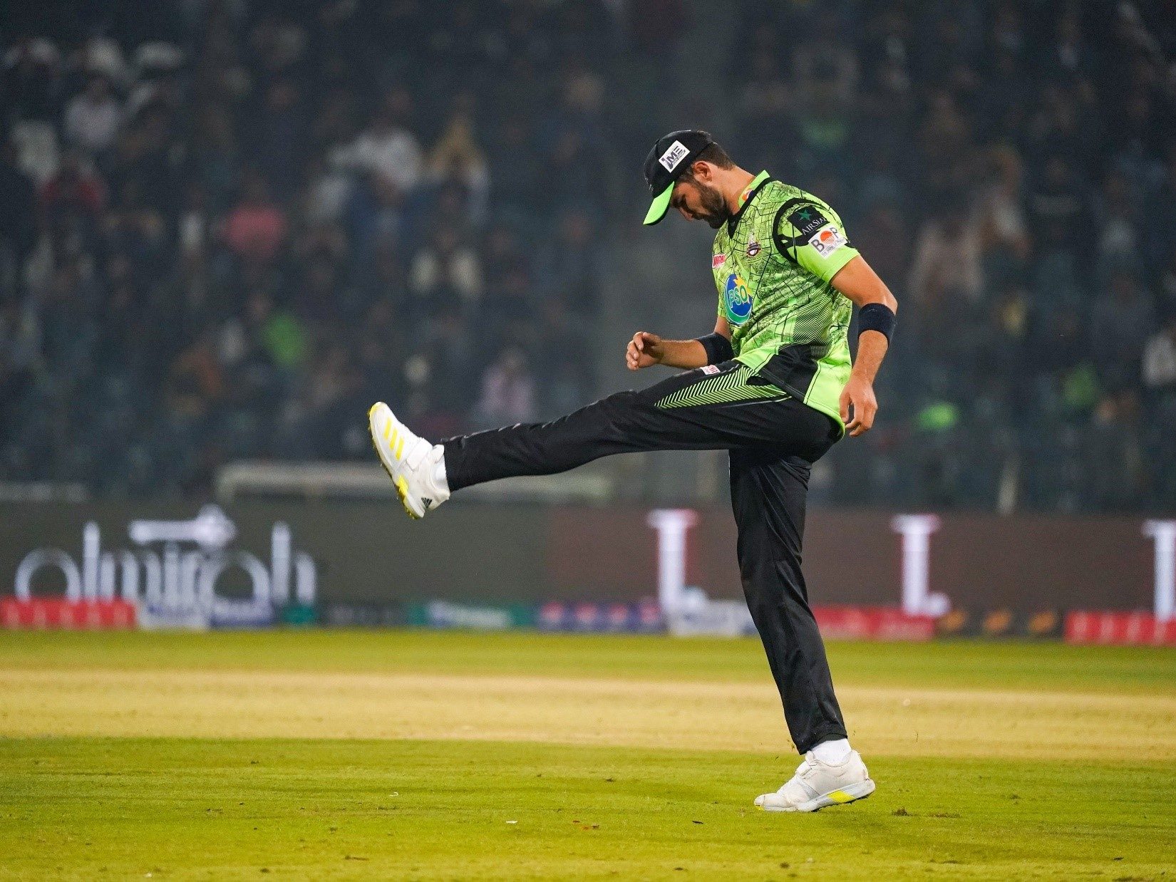 This Picture is about Why Lahore Qalandars are Struggling in PSL 9